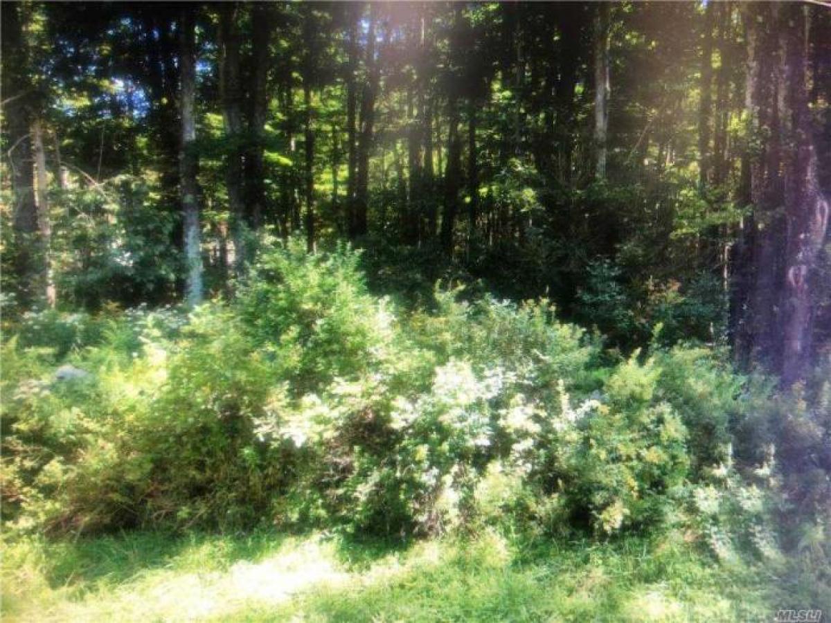 Picture of Residential Land For Sale in Ferndale, New York, United States