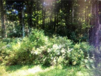 Residential Land For Sale in Ferndale, New York