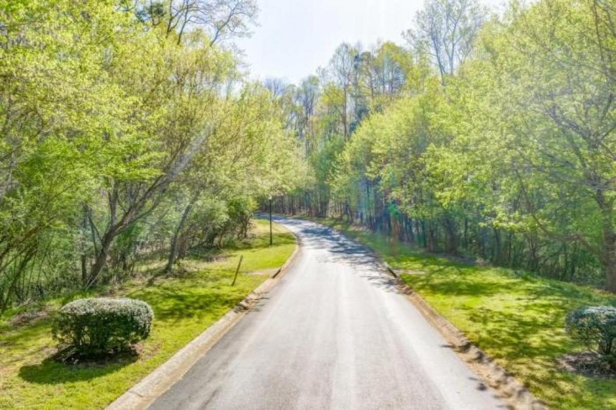 Picture of Residential Land For Sale in Ball Ground, Georgia, United States