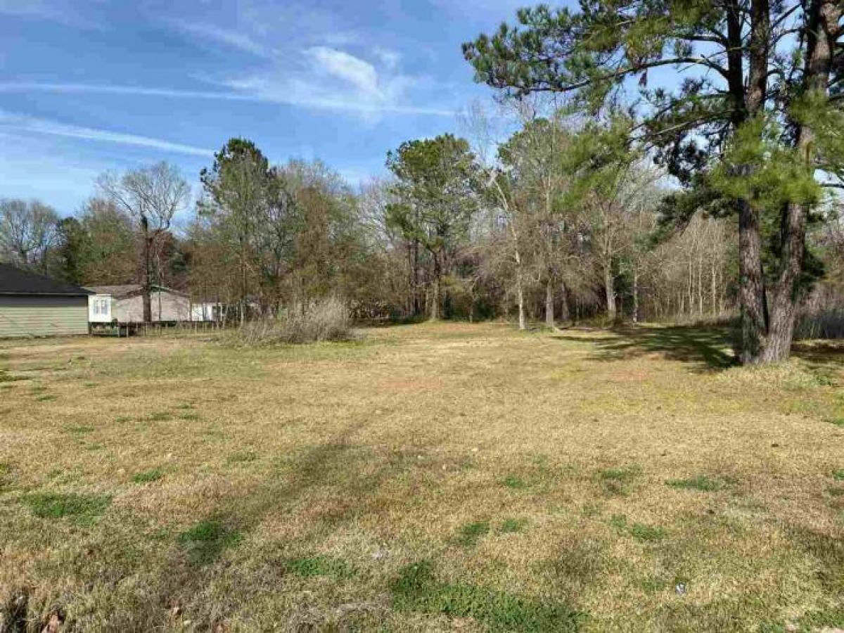 Picture of Residential Land For Sale in Vidor, Texas, United States