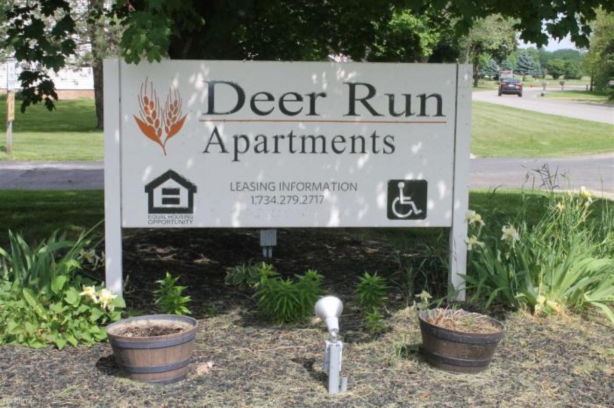 Picture of Apartment For Rent in Deerfield, Michigan, United States