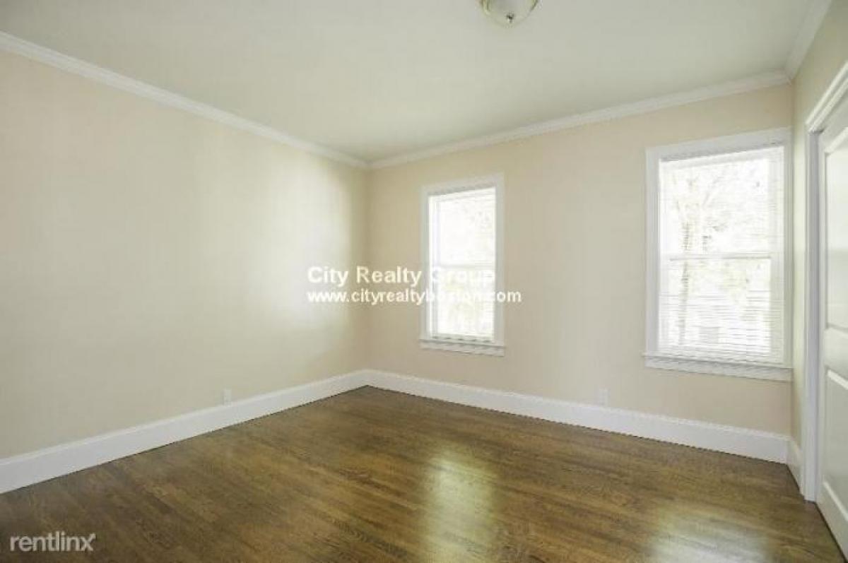 Picture of Apartment For Rent in Roxbury, Massachusetts, United States