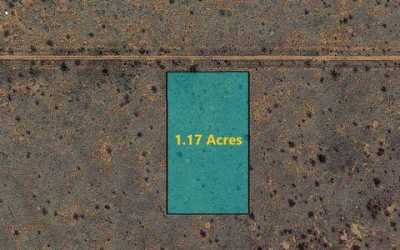 Residential Land For Sale in Cochise, Arizona