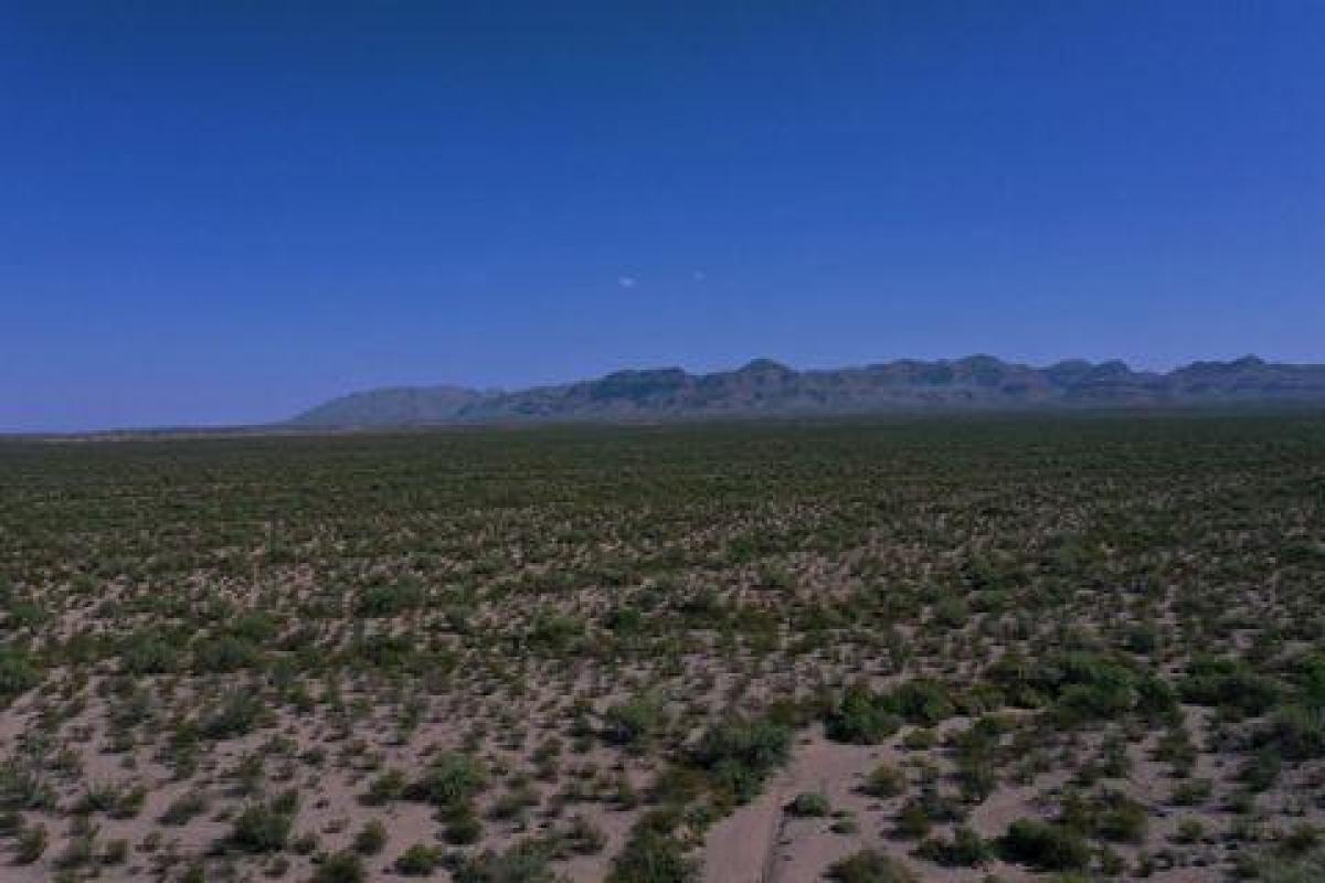 Picture of Residential Land For Sale in Marfa, Texas, United States