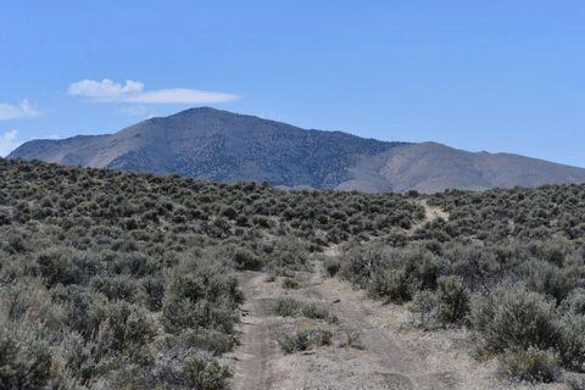 Picture of Residential Land For Sale in Winnemucca, Nevada, United States