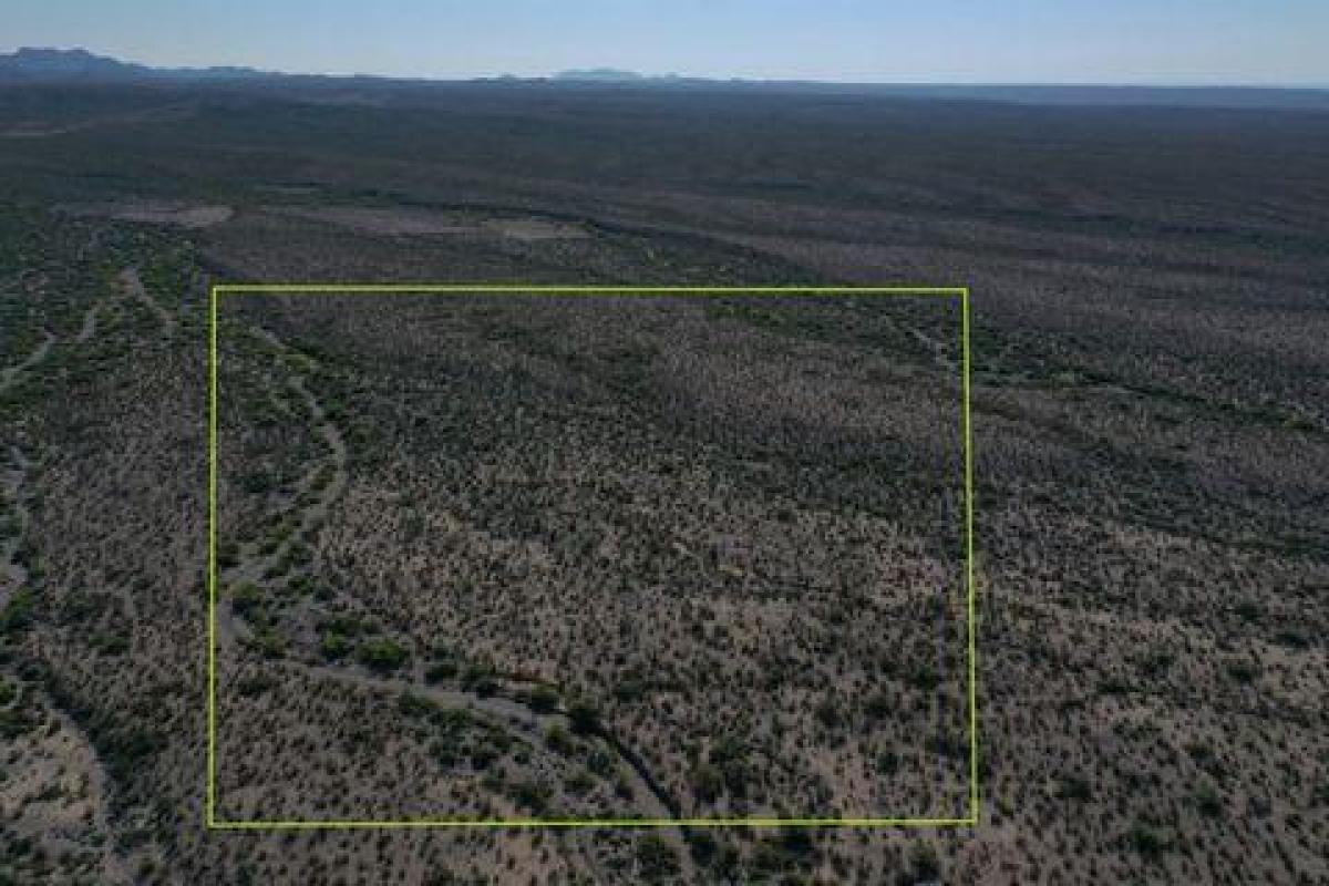 Picture of Residential Land For Sale in Presidio, Texas, United States