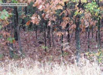 Residential Land For Sale in Hollister, Missouri