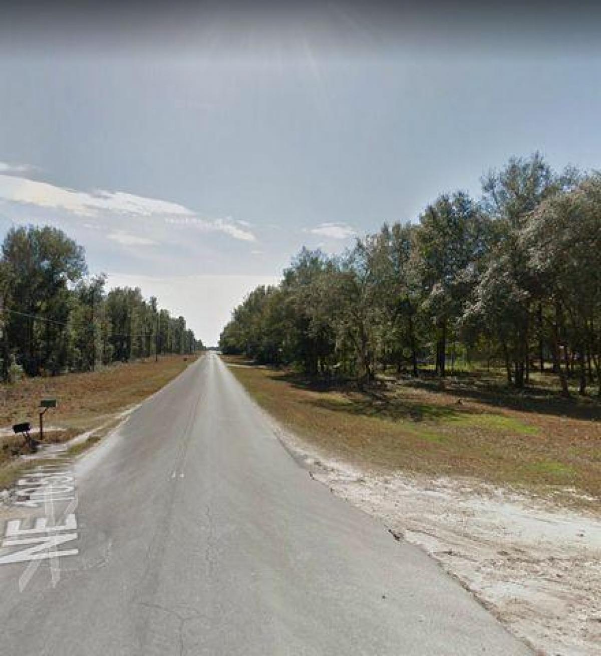 Picture of Residential Land For Sale in Fort Mccoy, Florida, United States