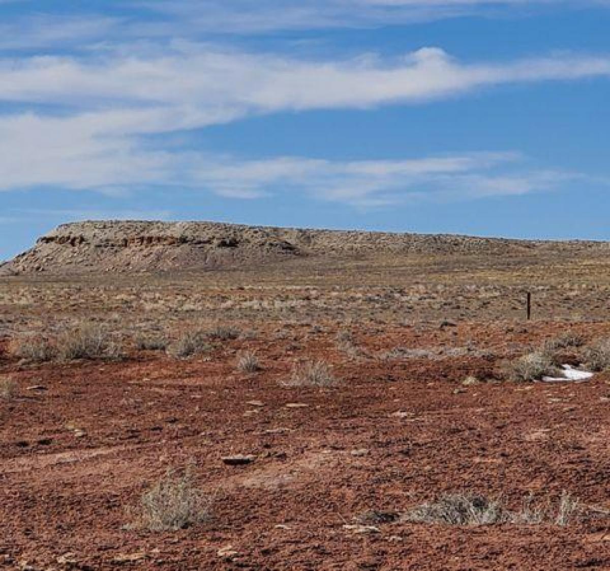 Picture of Residential Land For Sale in Sanders, Arizona, United States