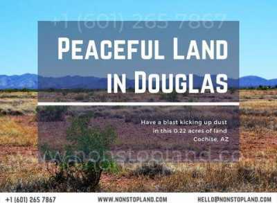 Residential Land For Sale in Douglas, Arizona