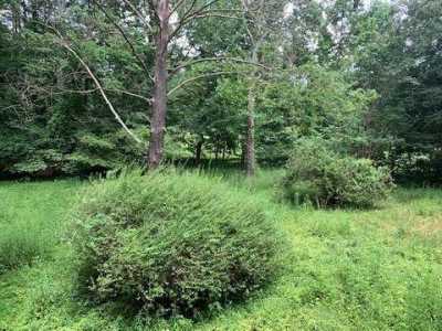 Residential Land For Sale in 