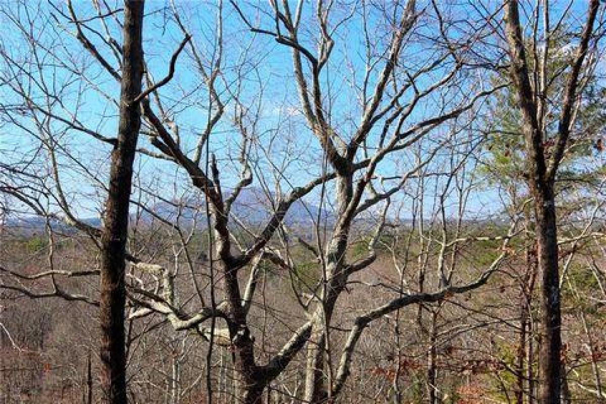 Picture of Residential Land For Sale in Marietta, Georgia, United States