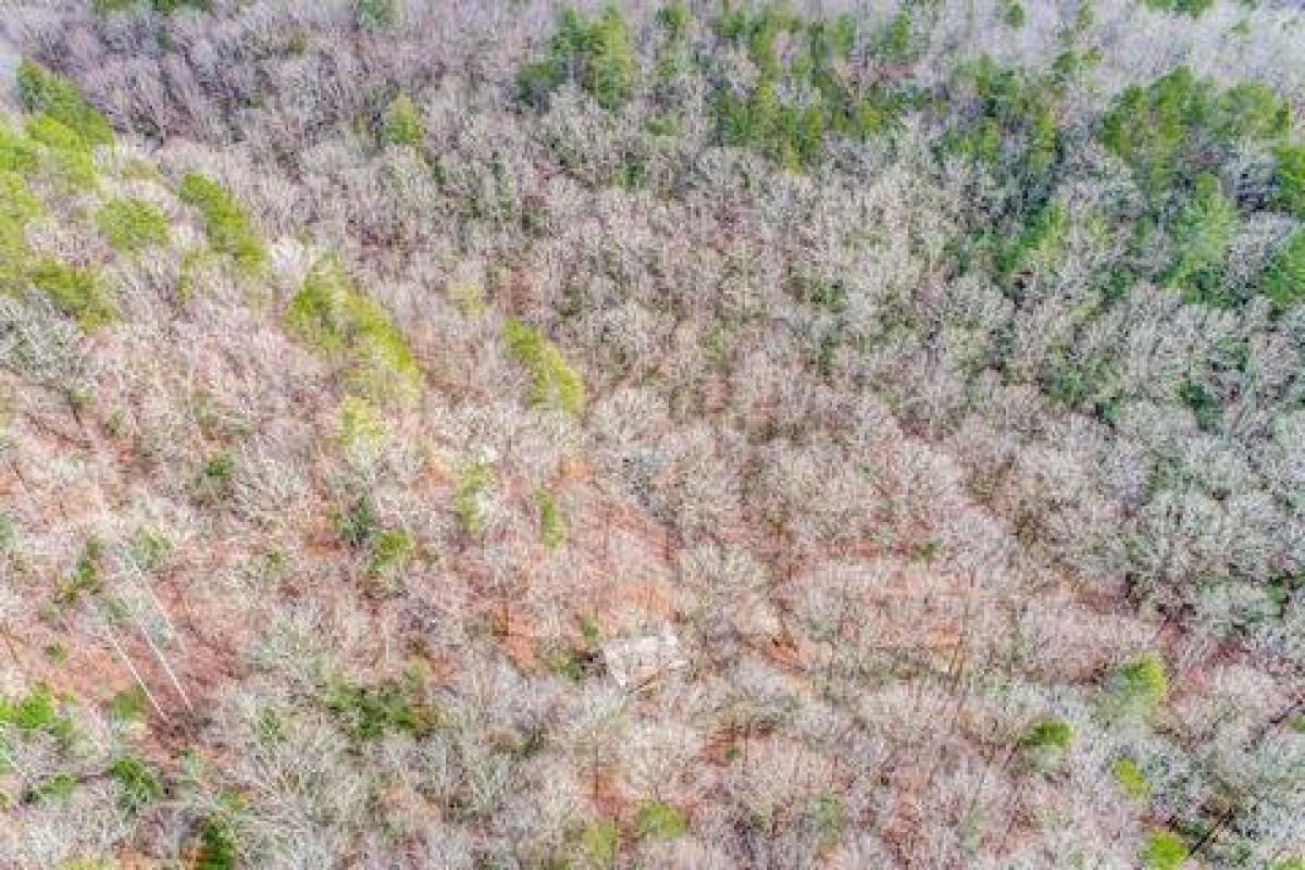 Picture of Residential Land For Sale in Dahlonega, Georgia, United States