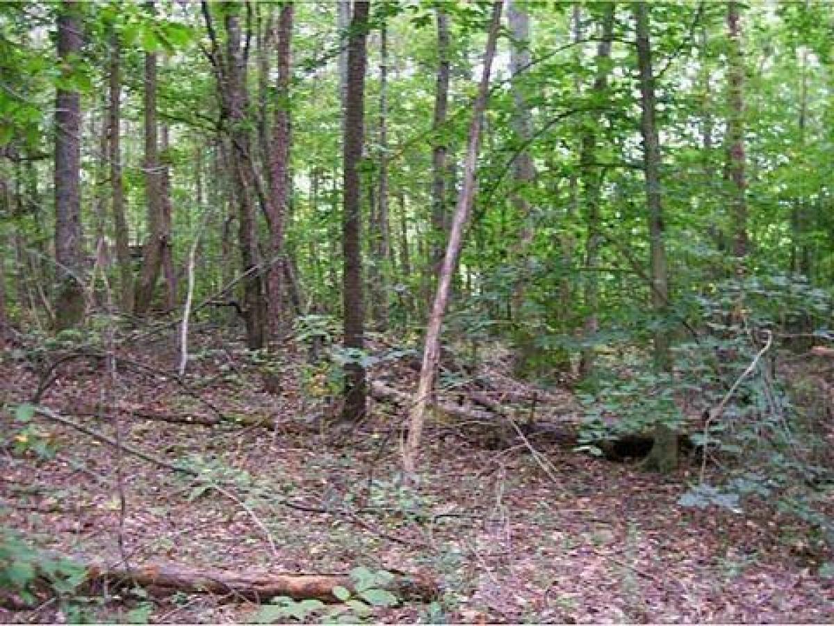 Picture of Residential Land For Sale in Dawsonville, Georgia, United States