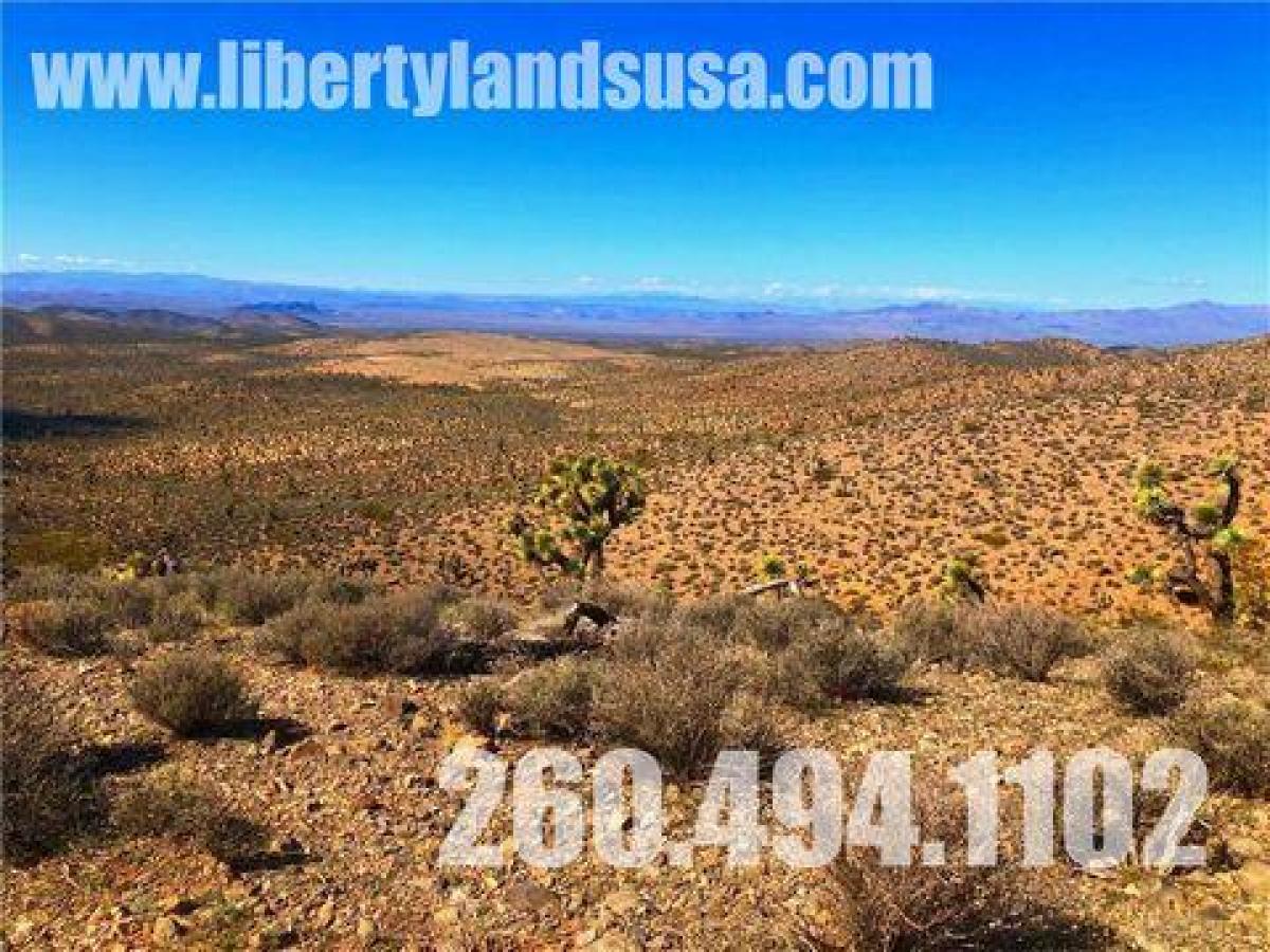 Picture of Residential Land For Sale in White Hills, Arizona, United States