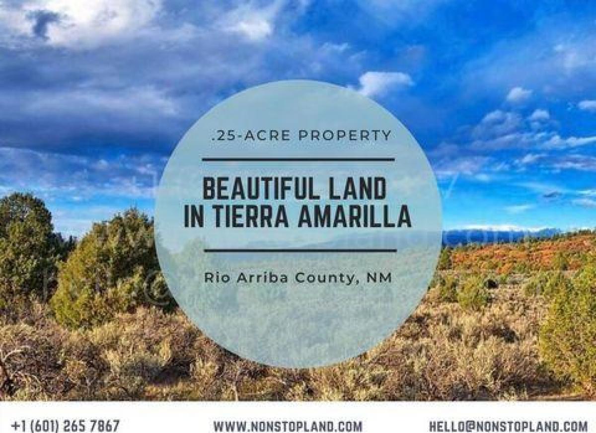 Picture of Residential Land For Sale in Tierra Amarilla, New Mexico, United States