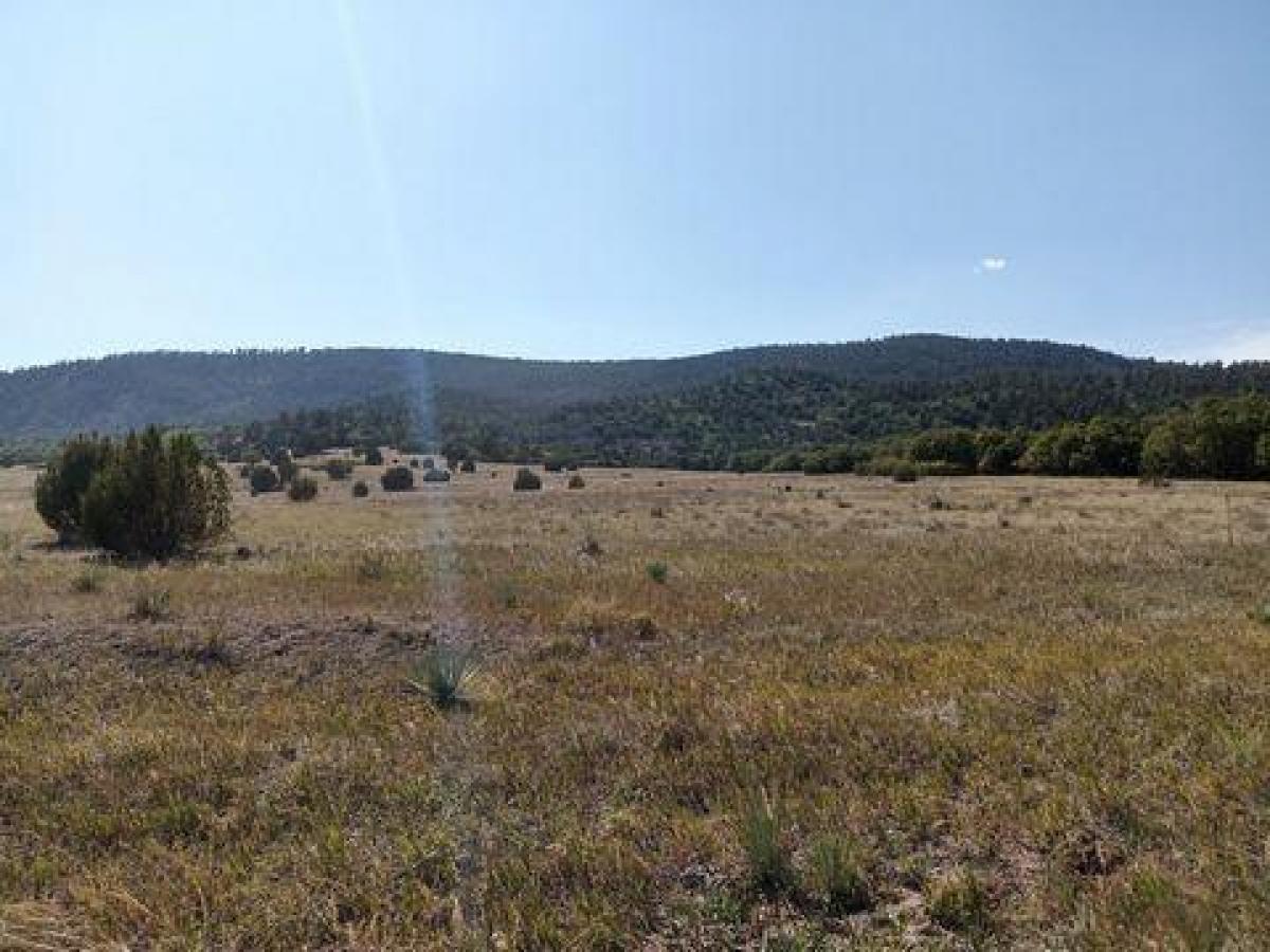 Picture of Residential Land For Sale in Rye, Colorado, United States