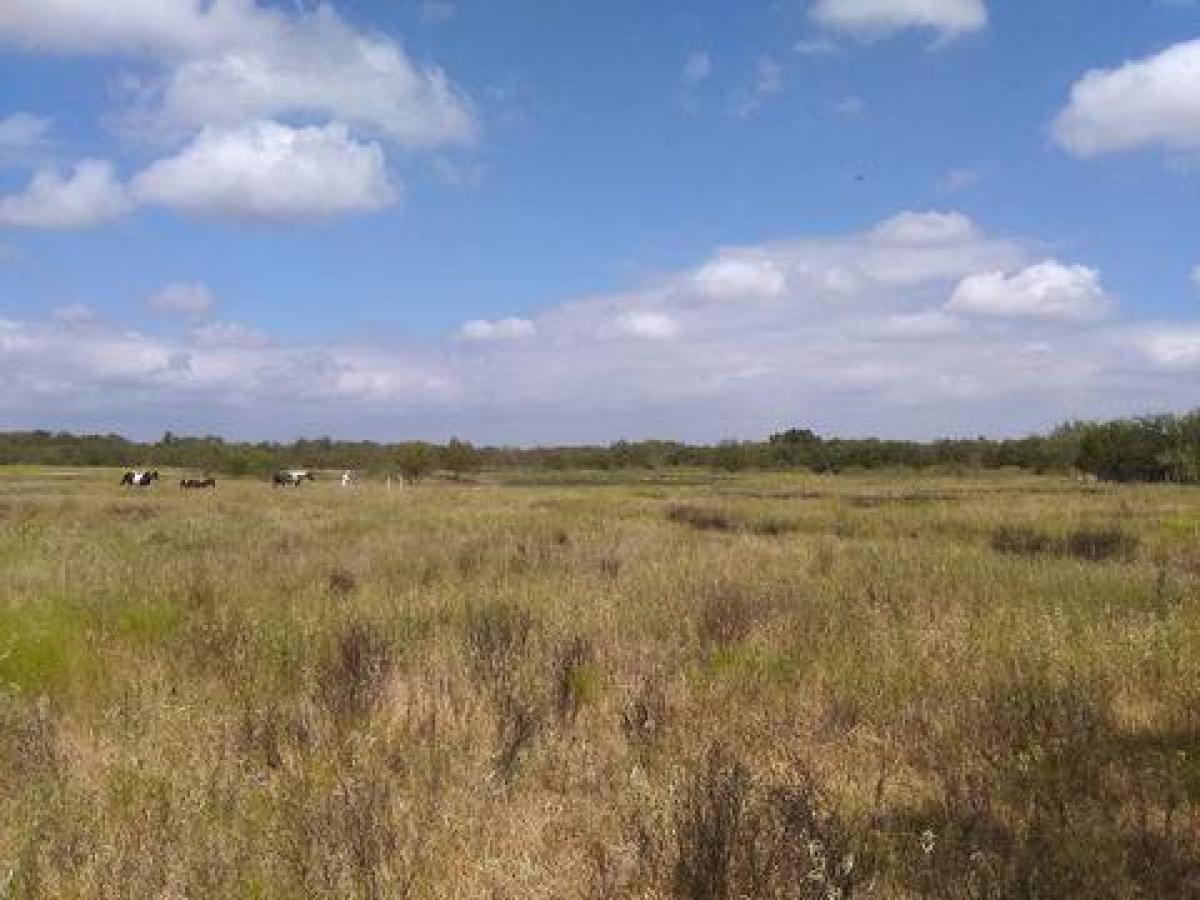 Picture of Residential Land For Sale in Coolidge, Texas, United States