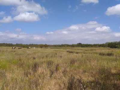 Residential Land For Sale in Coolidge, Texas