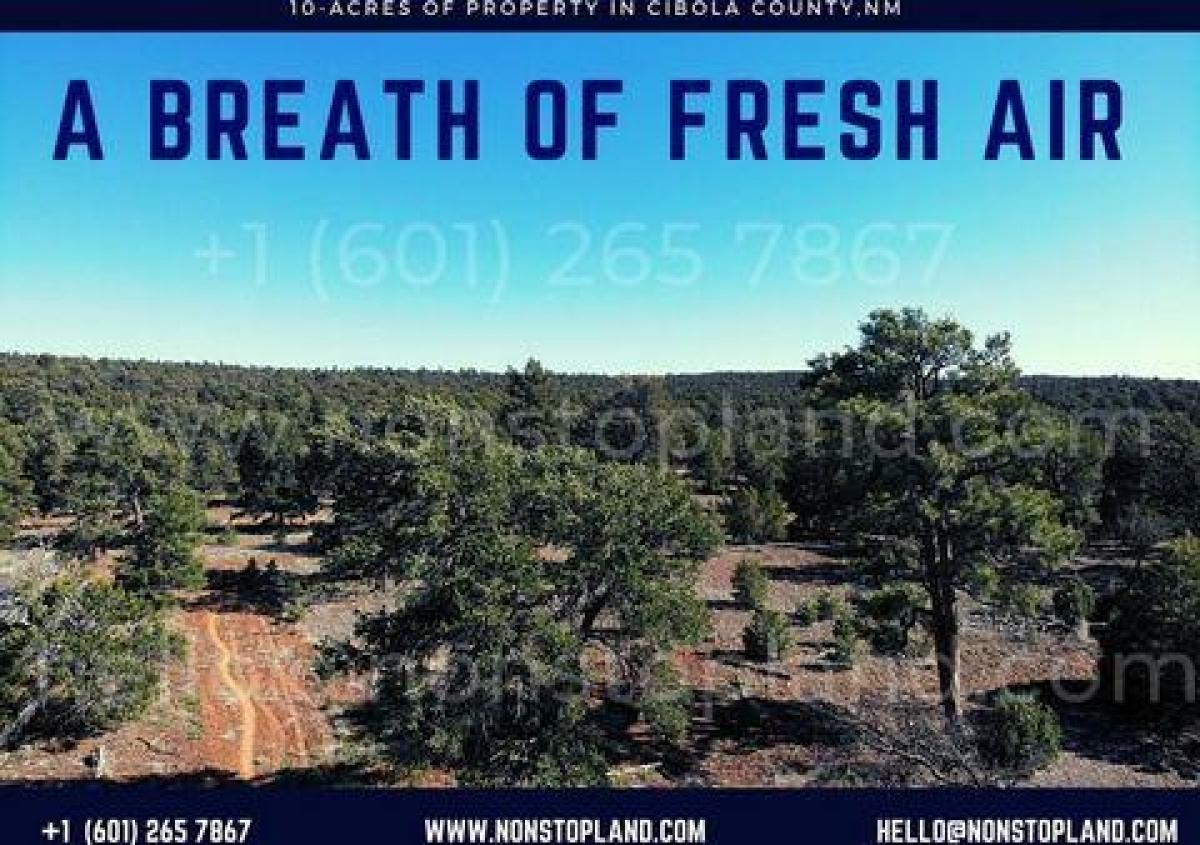 Picture of Residential Land For Sale in Ramah, New Mexico, United States