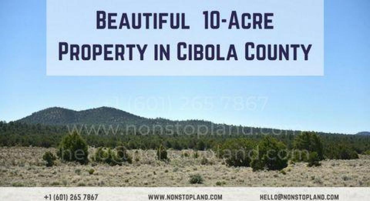 Picture of Residential Land For Sale in Grants, New Mexico, United States