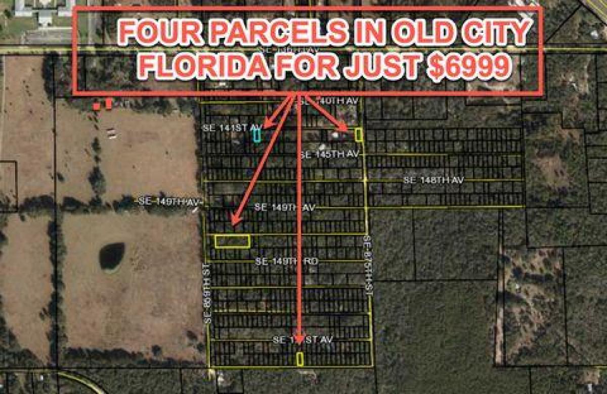 Picture of Residential Land For Sale in Old Town, Florida, United States