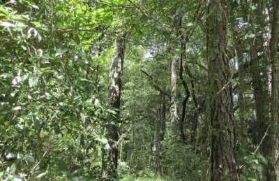 Residential Land For Sale in 