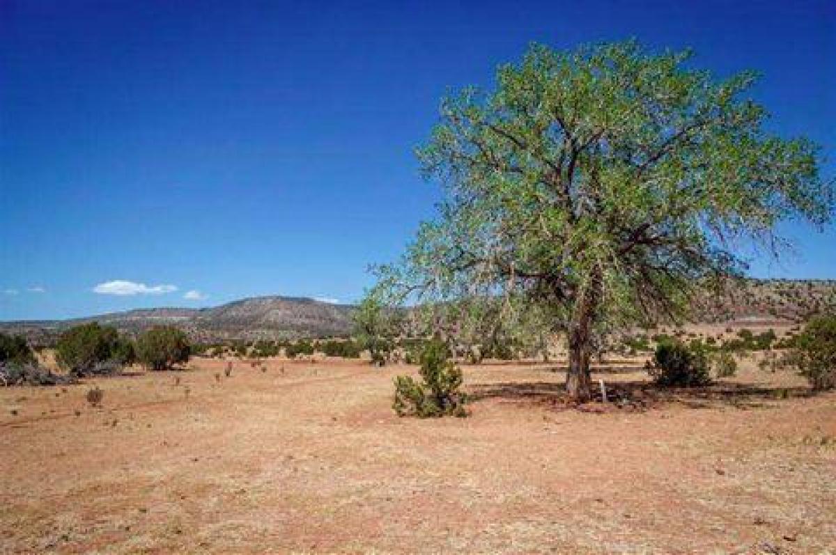 Picture of Residential Land For Sale in Las Vegas, New Mexico, United States