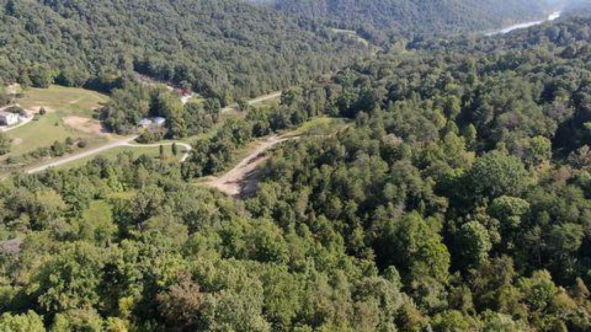 Picture of Residential Land For Sale in Treadway, Tennessee, United States