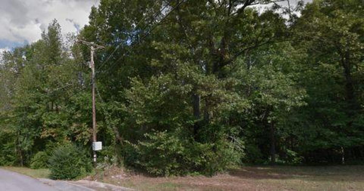 Picture of Residential Land For Sale in Waverly, Tennessee, United States