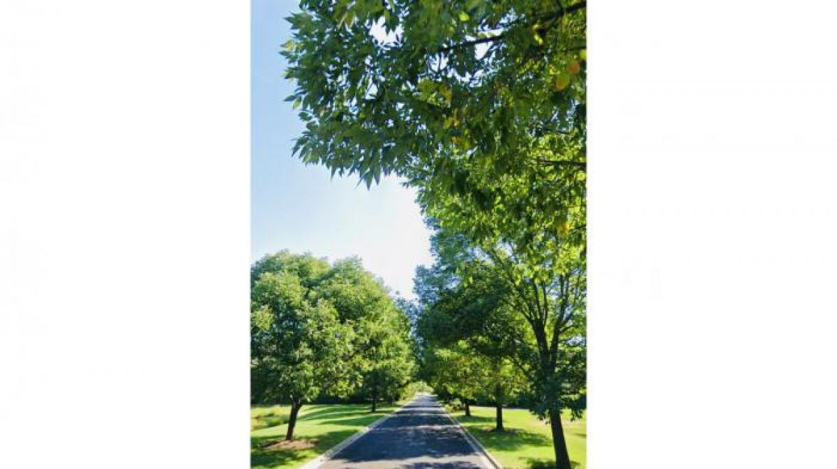 Picture of Residential Land For Sale in Lake Forest, Illinois, United States