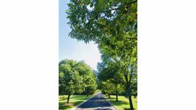 Residential Land For Sale in 