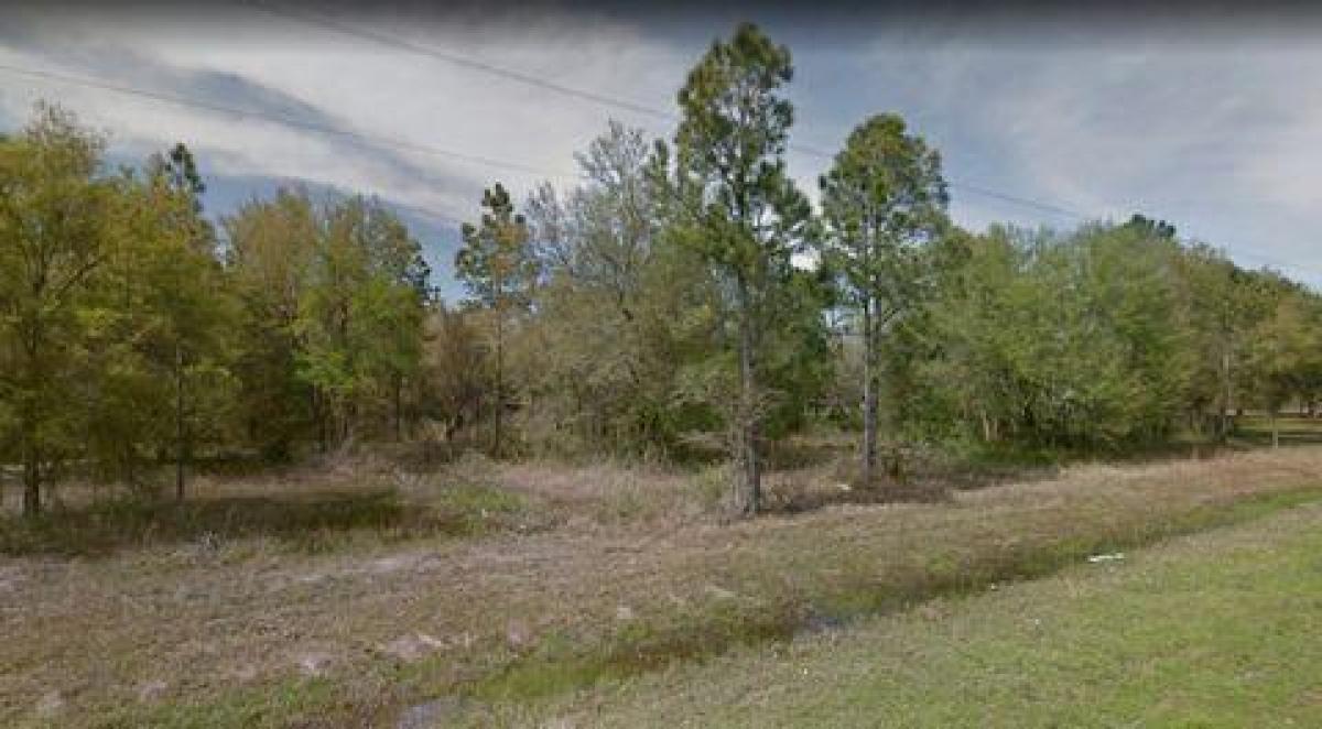 Picture of Residential Land For Sale in Cross City, Florida, United States