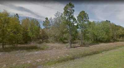 Residential Land For Sale in Cross City, Florida