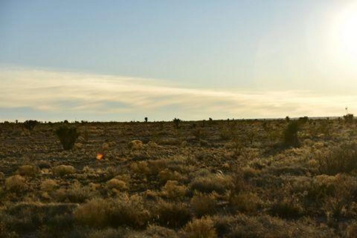 Picture of Residential Land For Sale in Pecos, Texas, United States