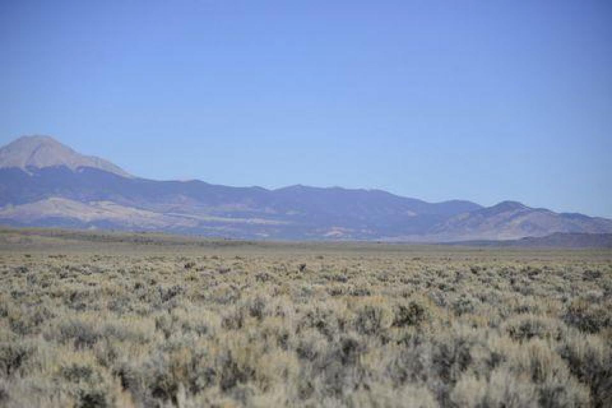 Picture of Residential Land For Sale in Sanford, Colorado, United States