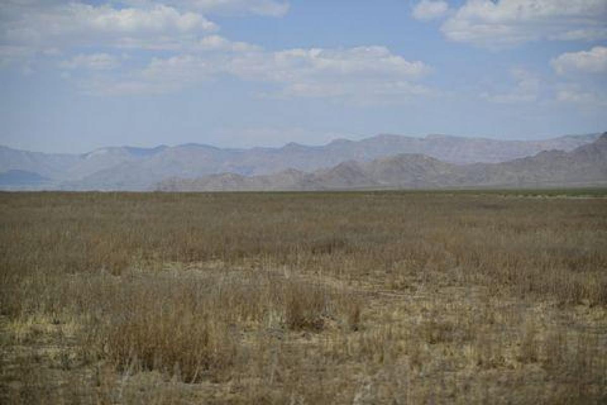 Picture of Residential Land For Sale in Hackberry, Arizona, United States