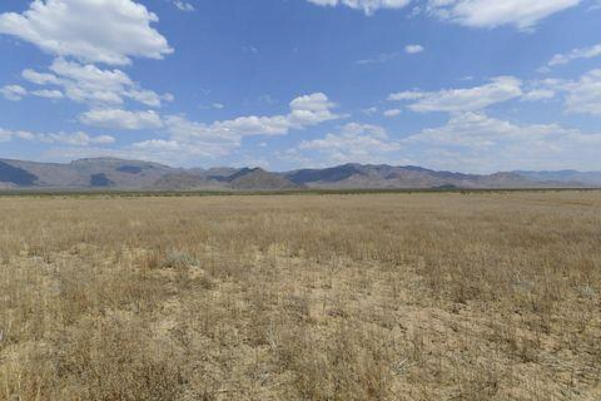 Picture of Residential Land For Sale in Hackberry, Arizona, United States