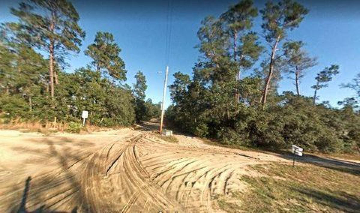 Picture of Residential Land For Sale in Fort Mccoy, Florida, United States