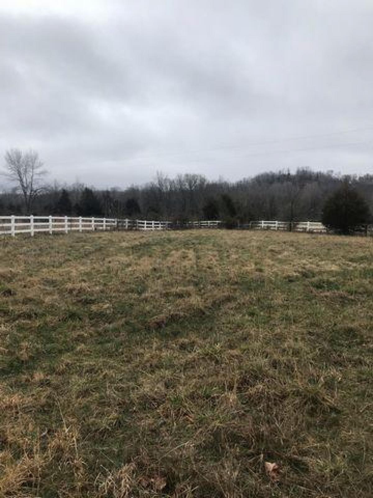 Picture of Residential Land For Sale in Waverly, Tennessee, United States