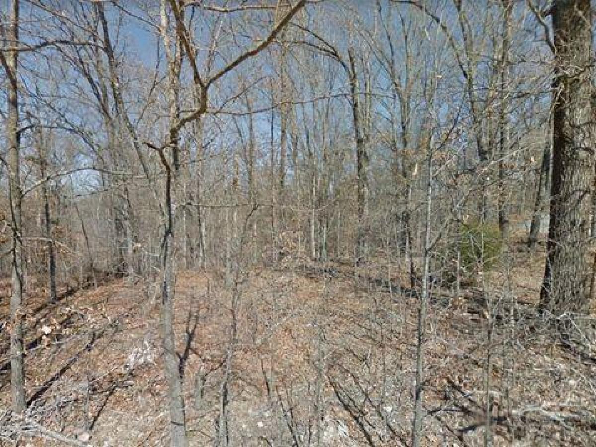 Picture of Residential Land For Sale in Bella Vista, Arkansas, United States