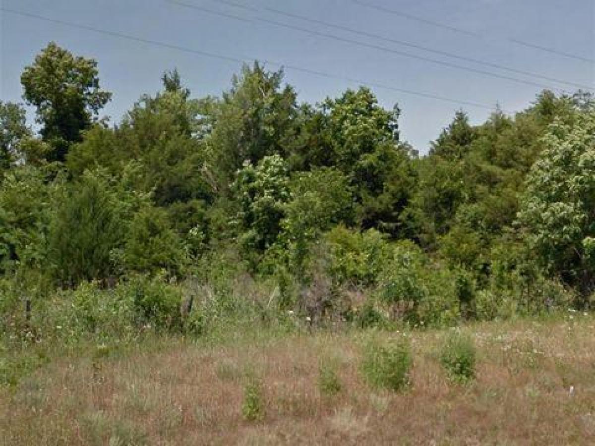 Picture of Residential Land For Sale in Diamond City, Arkansas, United States