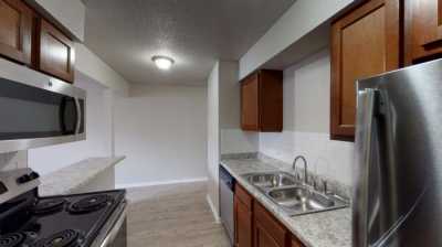 Apartment For Rent in 