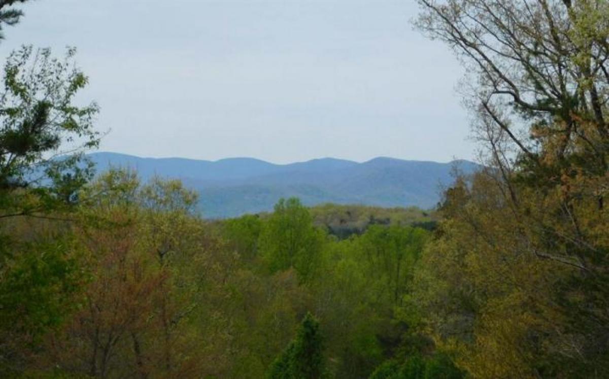 Picture of Residential Land For Sale in Morganton, Georgia, United States