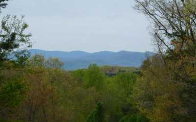 Residential Land For Sale in Morganton, Georgia