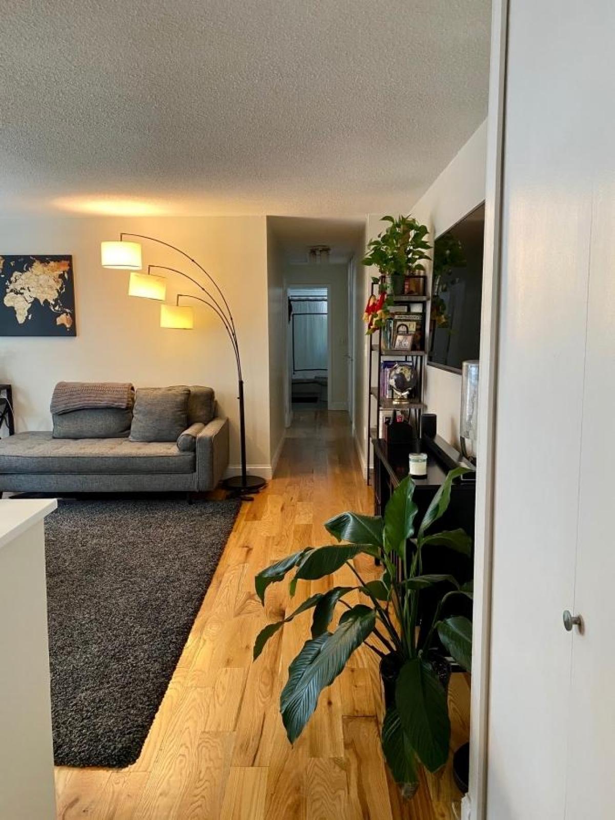 Picture of Condo For Rent in Belmont, Massachusetts, United States