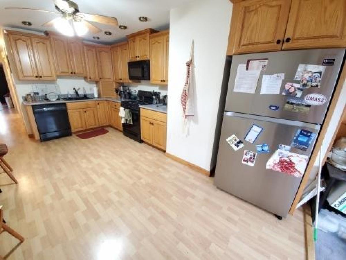 Picture of Condo For Rent in South Boston, Massachusetts, United States