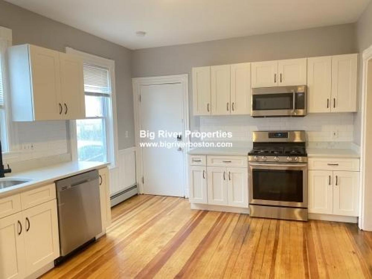 Picture of Condo For Rent in South Boston, Massachusetts, United States