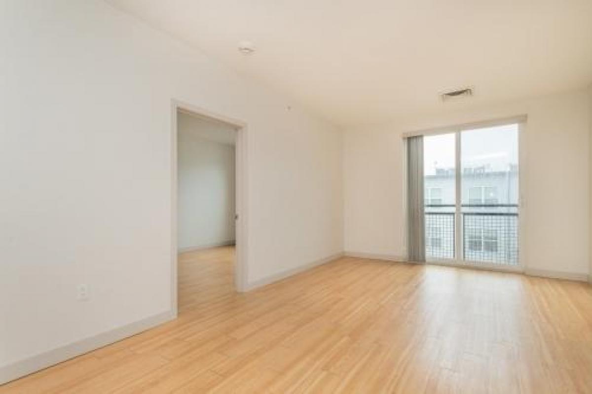 Picture of Condo For Rent in South Boston, Massachusetts, United States