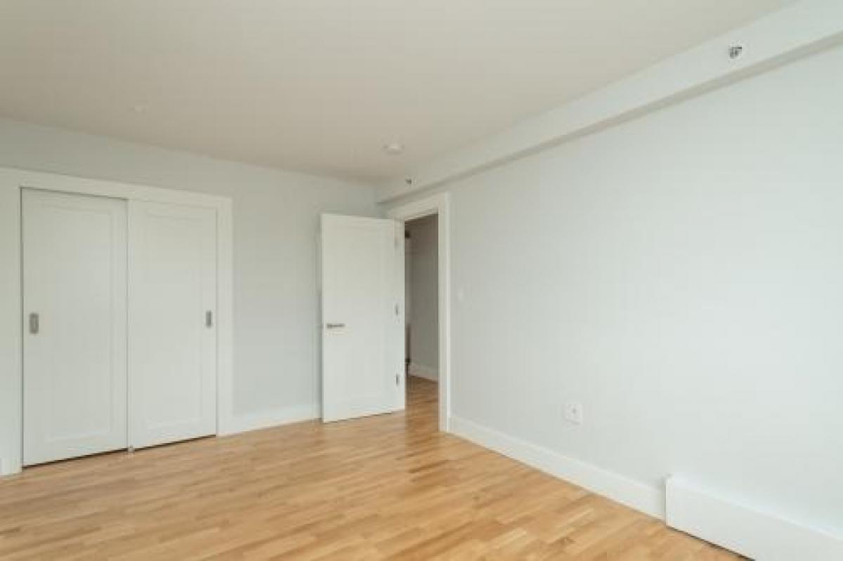 Picture of Condo For Rent in South Boston, Massachusetts, United States